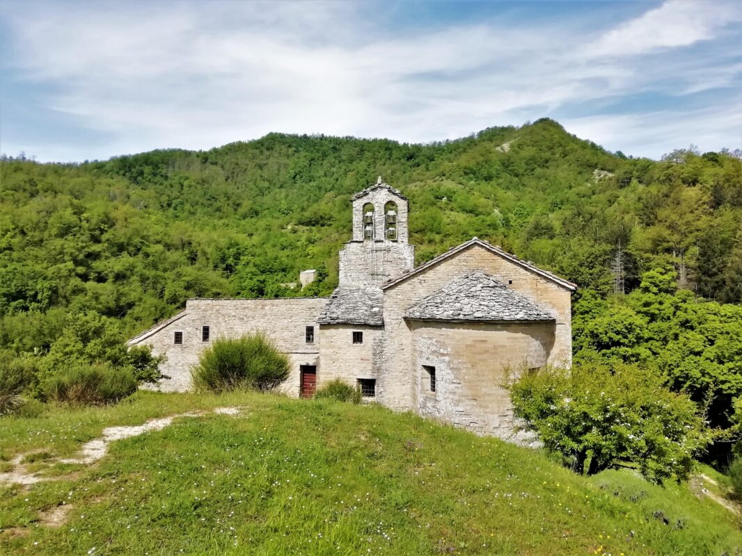 gamogna
