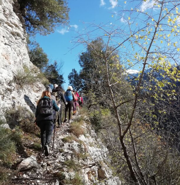 IMG_20211212_120723 salita monte foce