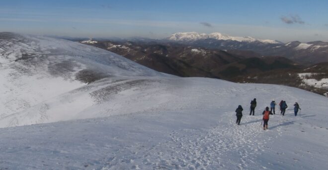 PB113233 crinale monte foce