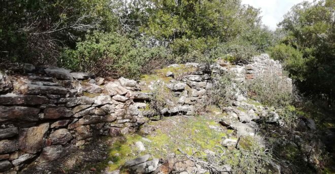 IMG_20210211_121813(1)