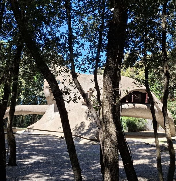 20250426_131242-min casa dinosauro