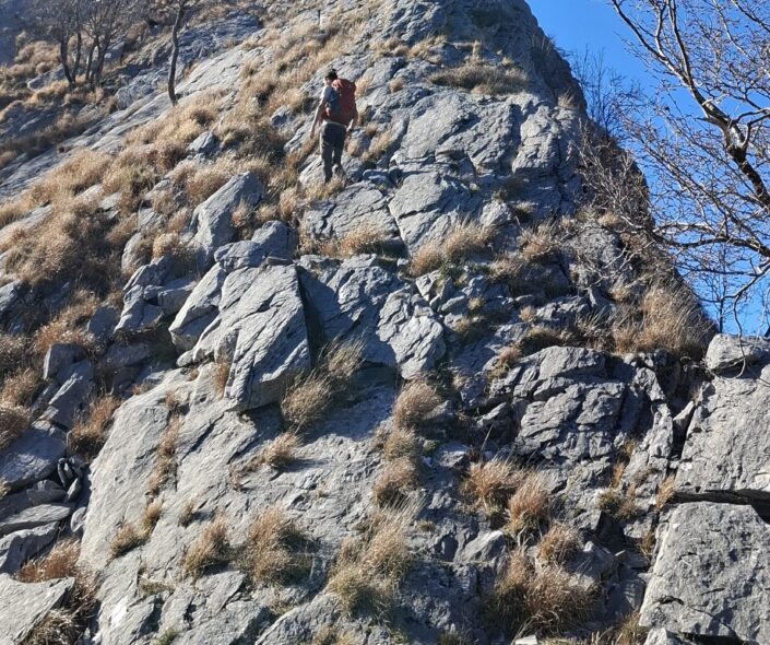 cresta freddone